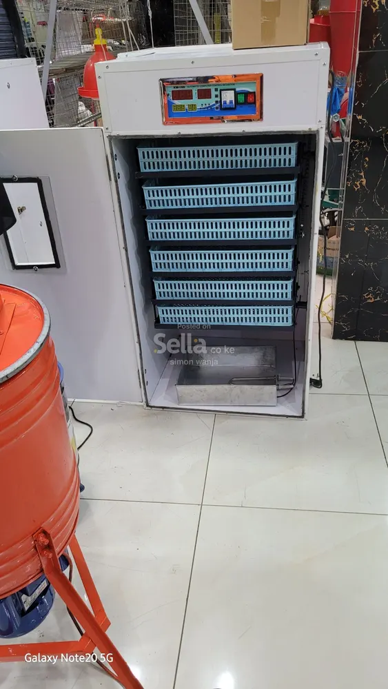 528-Eggs incubator 
