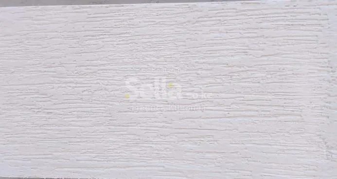 Textured Exterior painting (wallmaster)