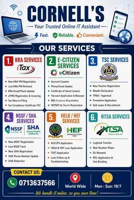 Government Services 