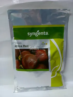 Africa red 200g onion seeds 