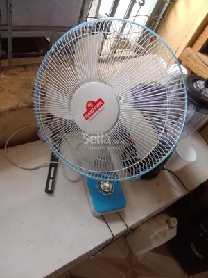 Wall mount fan 