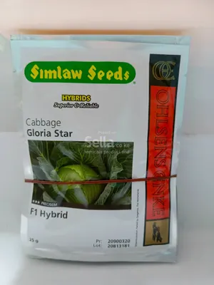 Gloria star f1 25g cabbage seeds 