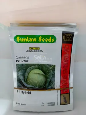 Pruktor f1 25g (5,000 sds) cabbage seeds 