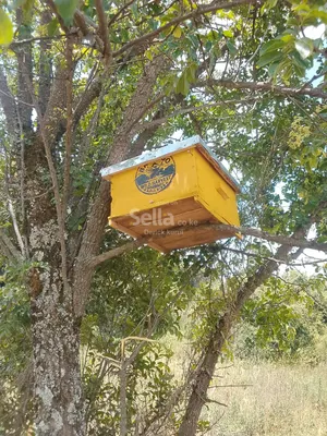 bee hieves on sell & instalation