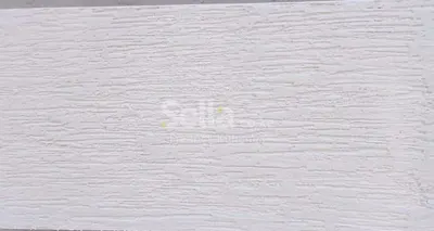 Textured Exterior painting (wallmaster)