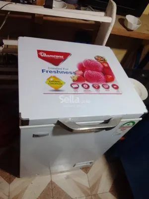 Ramtoms 96L deep freezer 