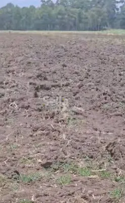 14 ACRES LAND KITUI MWINGI