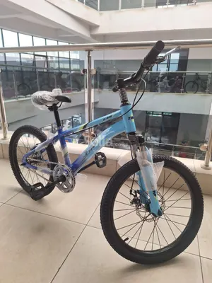 Bike size 20
