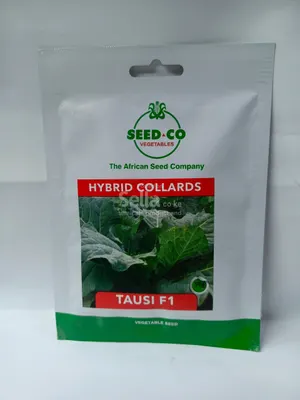 Tausi 50g sukuma seeds