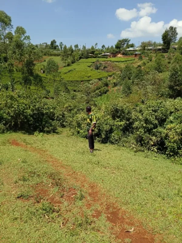 having cool vibes at the slopes of itondo river