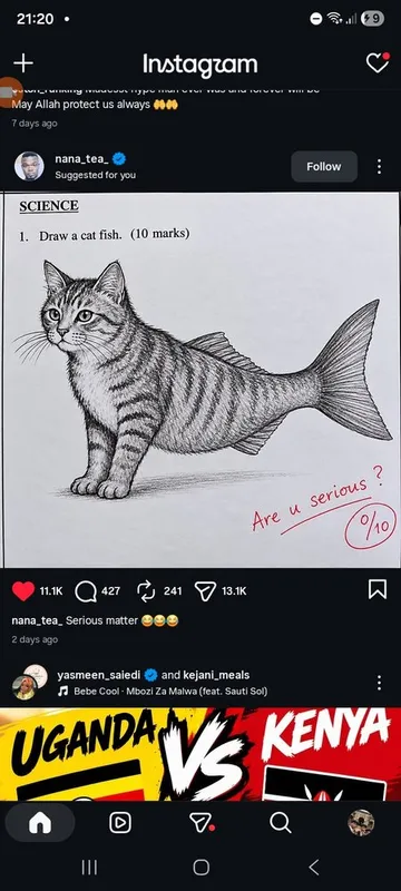 Cat fish