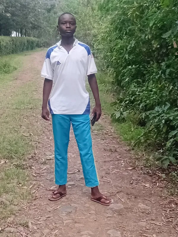 Uchumi ngori