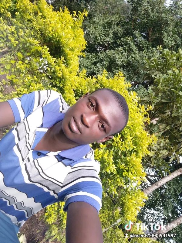 Kwani hamnioni