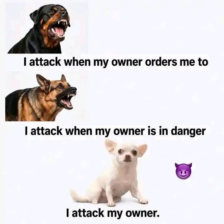 🥲😂