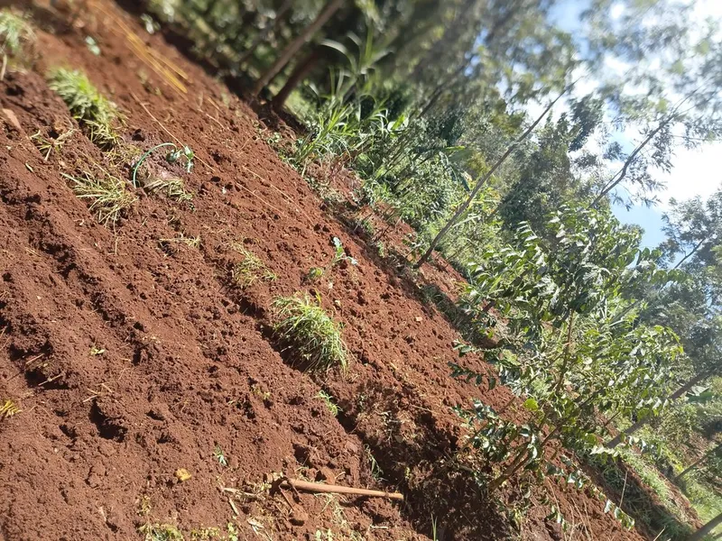 Atanikiwa huku