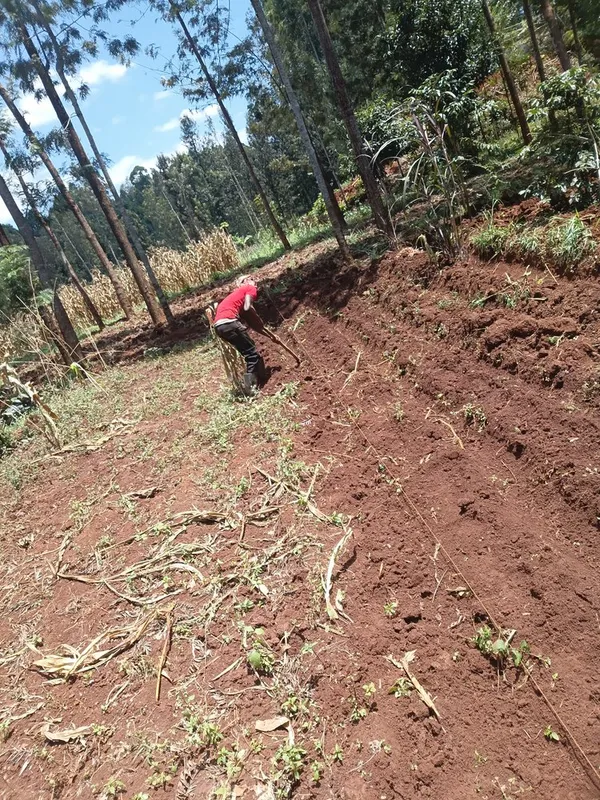 Tuko huku