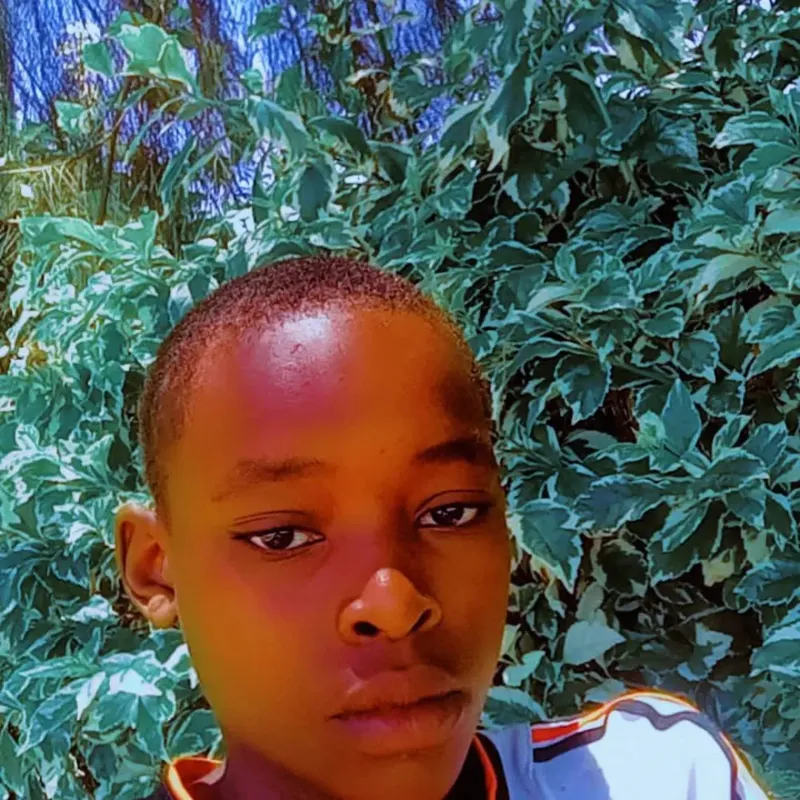 Hi